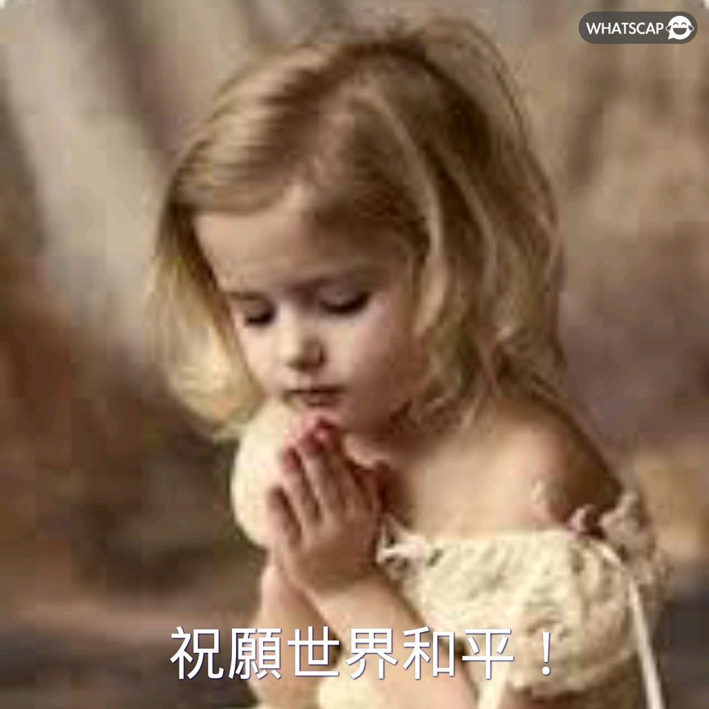 康纳,布拉德利,继承巴塞罗,2026世界杯,世界杯赛程,举办城市,球队信息,赛事直播