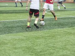 中国女足东,京奥运赛场,上惨败荷兰,2026世界杯,世界杯赛程,举办城市,球队信息,赛事直播